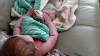 Tierno : bebé y gatito se despiertan juntos de la siesta.