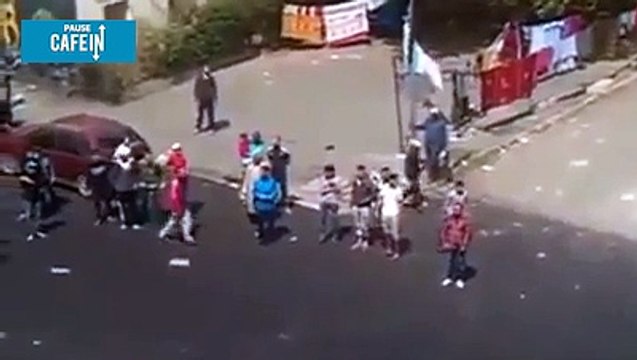 Il lance des briques sur des bergers allemands, ils vont lui faire regretter son geste !