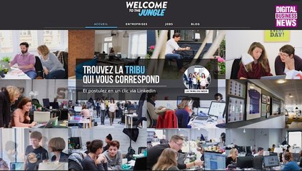 Welcome To The Jungle, les nouveaux membres de la tribu