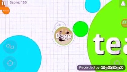 Agar.io Gameplay - doge's skin