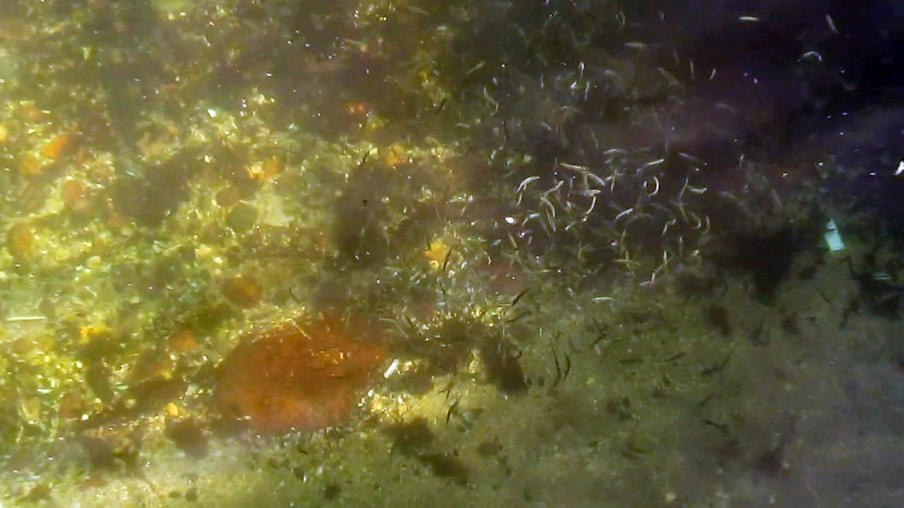 MVI_0701