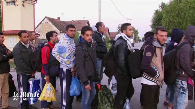 A pied et en bus, les migrants continuent d’arriver en Croatie