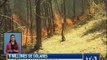 Incendios forestales dejan más de 9 millones de dólares en pérdidas