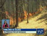 Incendios forestales dejan más de 9 millones de dólares en pérdidas