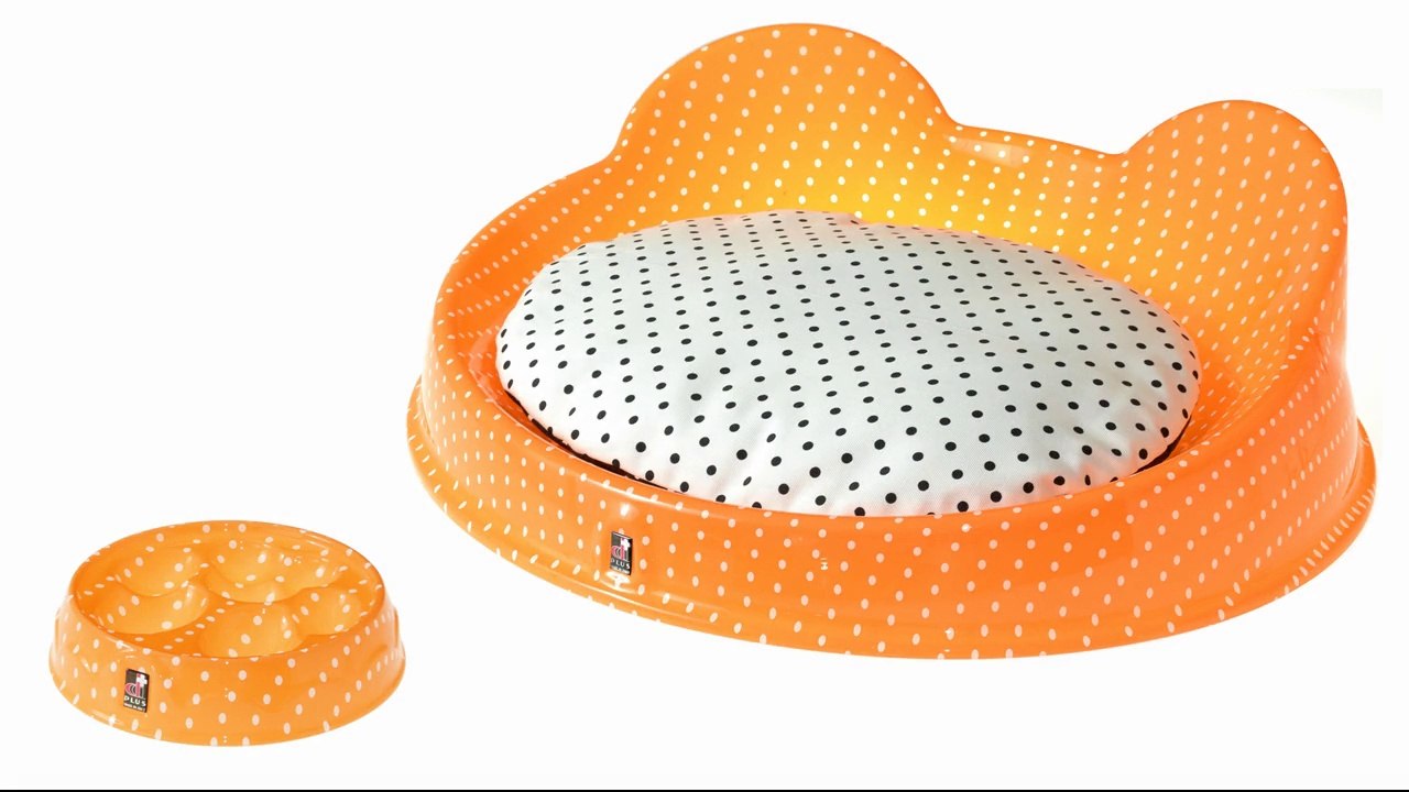 dog accessories - www.ddpluspet.com