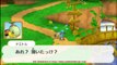 Pokémon Super Mystery Dungeon Official 3DS Rom Download JPN Version