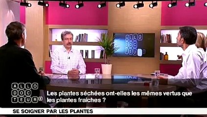 Phytothérapie : plantes fraîches ou séchées ?