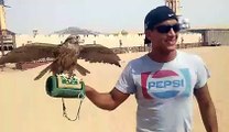 Mr. David Holmes from Australia with Desert Falcon - Desert Safari Tours