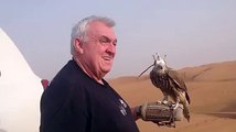 Photography with Falcon Bird in Desert Safari Dubai - Desert Safari Tours