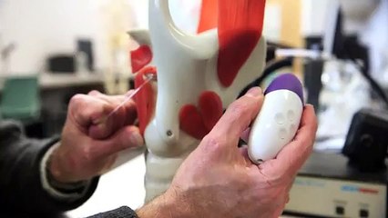 Quand les chanteurs utilisent un sextoy pour améliorer leur voix !