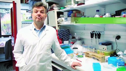 Le récepteur à la nicotine : tabagisme... et bien plus