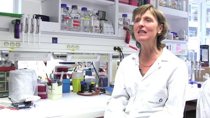 Helicobacter pylori : une bactérie à l'origine des cancers gastriques