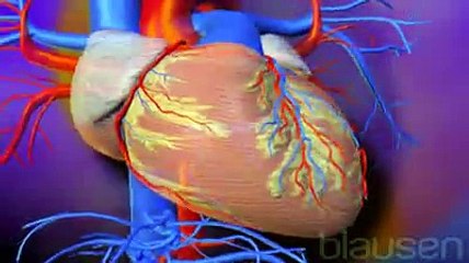 L'insuffisance cardiaque congestive