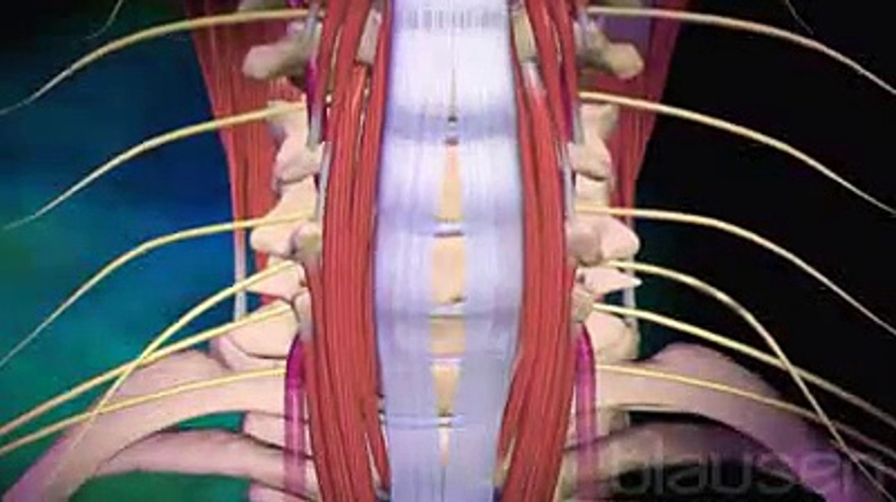La chirurgie cervicale