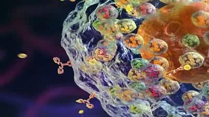 Les corticoides nasaux