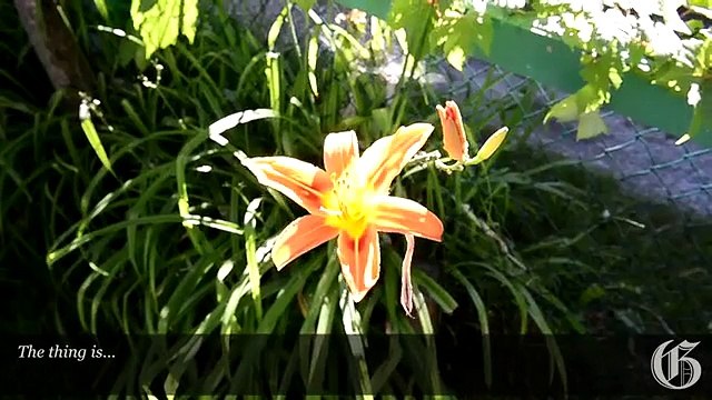 Aveugle de naissance, il voit pour la première fois... à 68 ans !