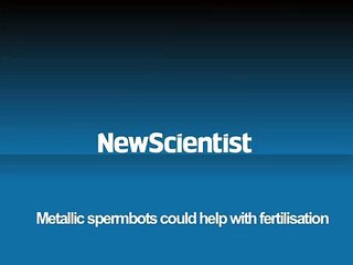 Des spermatozoïdes robots pour lutter contre l'infertilité