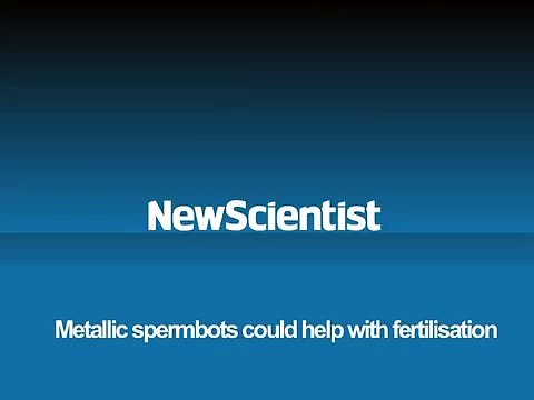 Des spermatozoïdes robots pour lutter contre l'infertilité