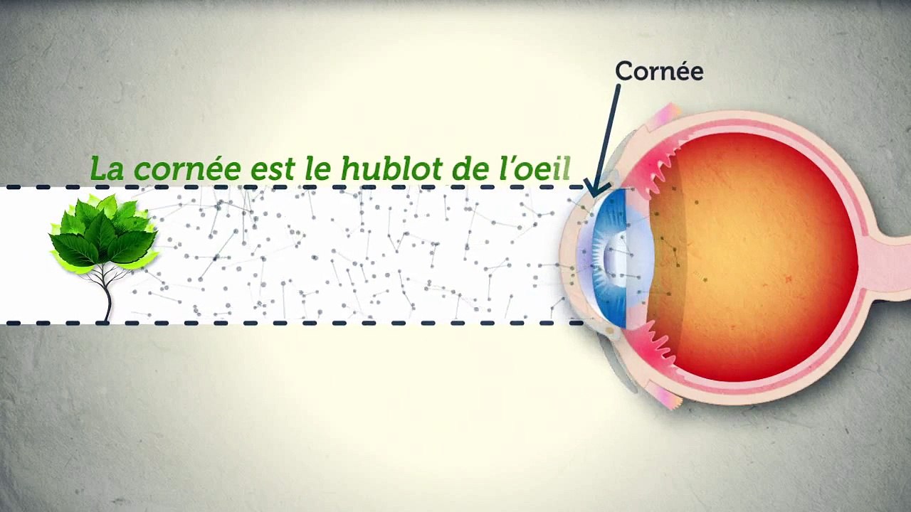 Lentilles de contact : les bonnes pratiques pour prendre soin de vos yeux