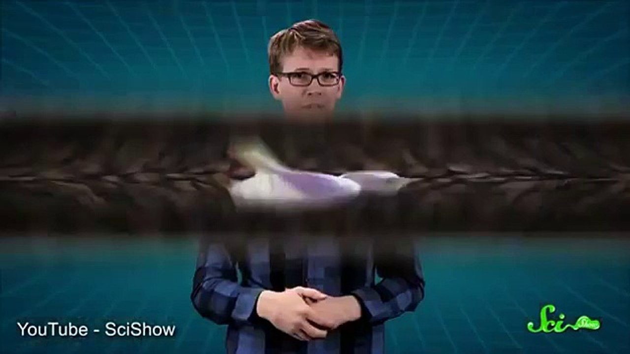 SciShow explique l'odeur d'urine particulière après avoir mangé des asperges (en anglais)