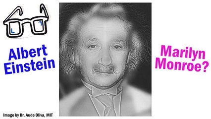 Qui voyez-vous : Albert Einstein ou Marilyn Monroe ?