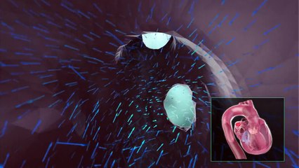 Des images incroyables du coeur humain