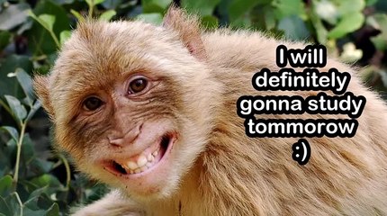 14 Types of Pakistani Students 🇵🇰