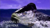 R4 One ident - Surfers (Channel of the Year) ident (HD)