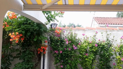 Maison et terrain à vendre sur l'Île d'Oléron