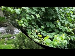 Most Beautiful Tour Dir North Pakistan