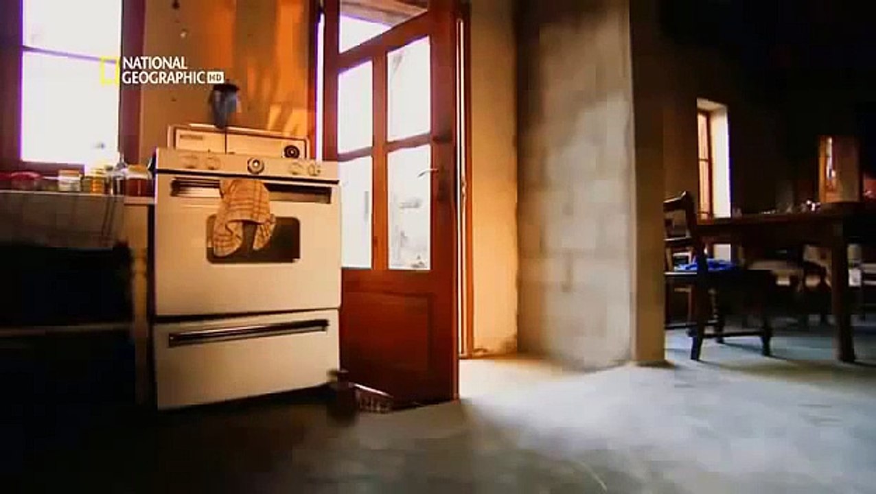 National Geographic From Desert To Grassland Animals Wildlife Nature [2014]