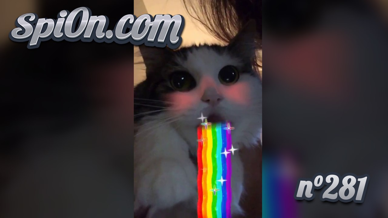 Le Zap de Spi0n n°281 - Zapping Web