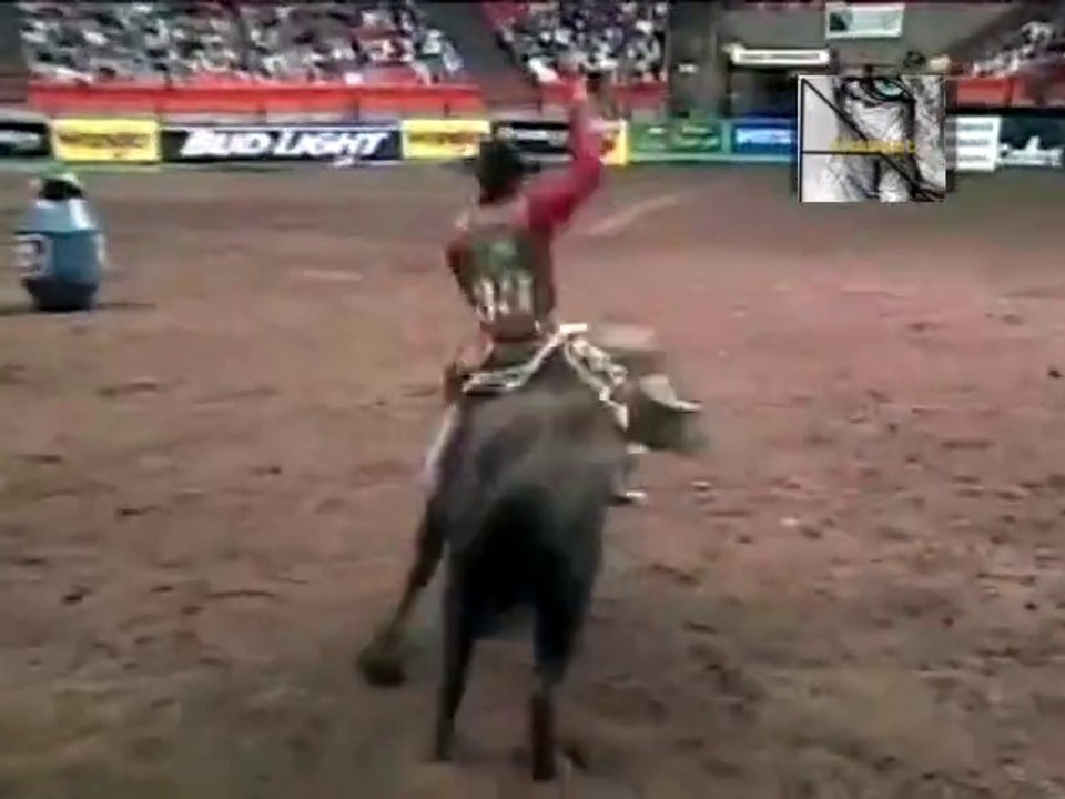 Rodeo Bull Attack