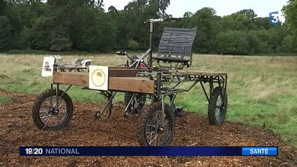 Des projets écologiques pour lutter contre le réchauffement du climat