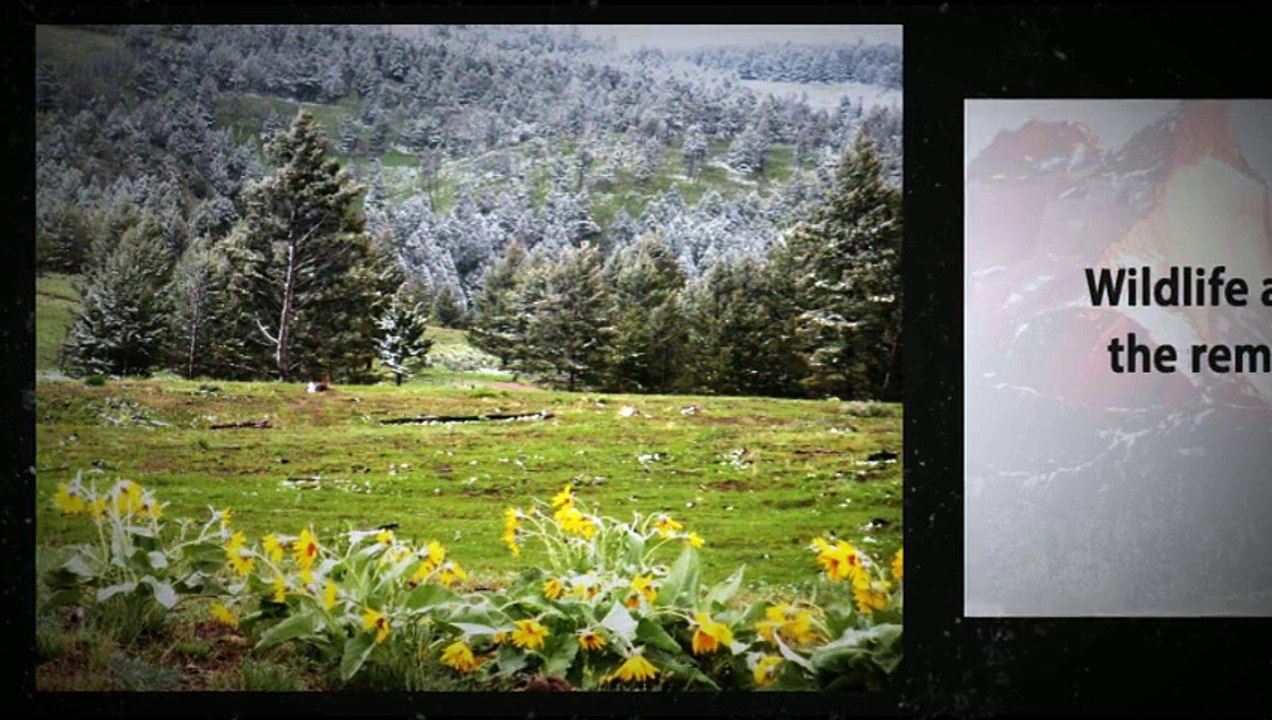 Montana Property - Near Glacier National Park -480-212-6324