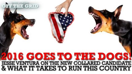 Shit Politicians Say: Jesse Ventura on the New Collared Candidate and What It Takes to Run This Country