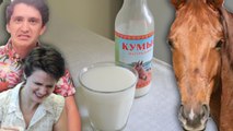 Fermented Mare Milk aka Kumis - Why Would You Eat That