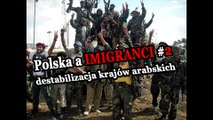 Polska a imigranci #2 Destabilizacja krajów arabskich