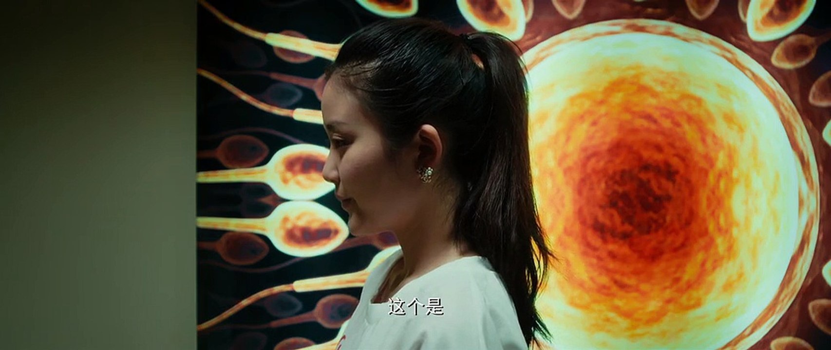 A 140404  整容日记 The Truth About Beauty #白百何Bai Bai-he#郑中基Ronald Cheng