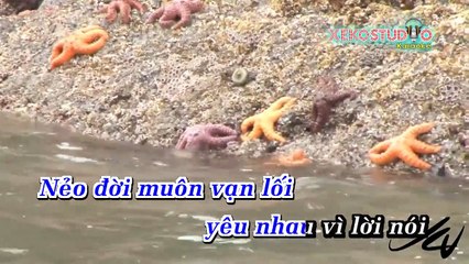 Căn Nhà Màu Tím - Đan Nguyên-Thanh Son HD (Full Beat )