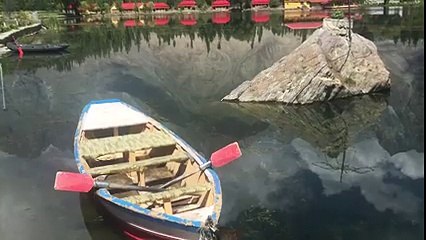 Amazing channel ,Amazing videos