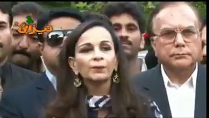 Amazing channel ,Amazing videos