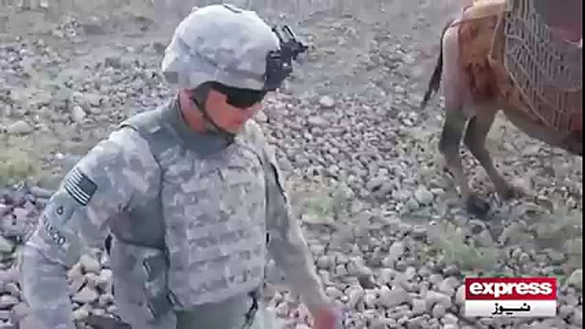 Amazing channel ,Amazing videos