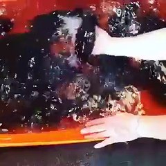 A Fish Changes its Colour..wow