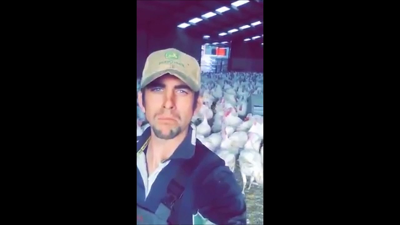 Une armée de Dindes... Flippant!