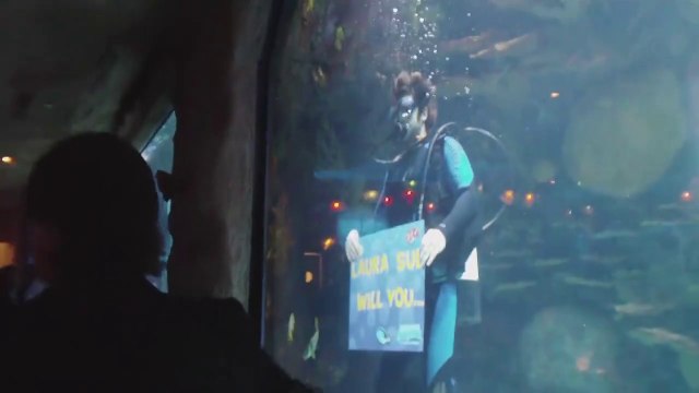 Demande en mariage sous-marine... Surprise Magique!