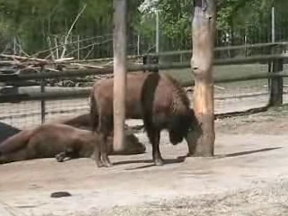 Abstecher ins Bruderhaus