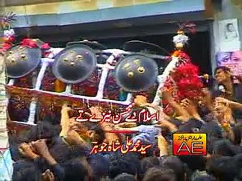 Islam De Mohsin Naize Te Video Noha by Zakir Hussain Zakir Nohay 2010