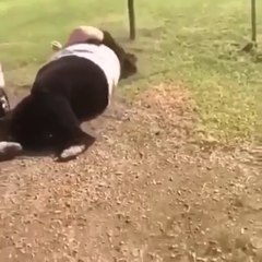 This is too good very so funny