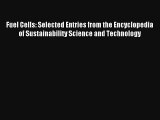 Fuel Cells: Selected Entries from the Encyclopedia of Sustainability Science and Technology